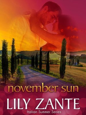 cover image of November Sun
